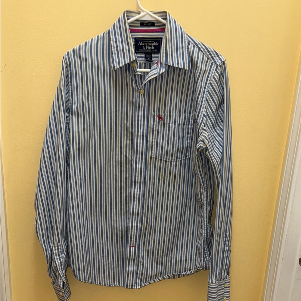 Abercrombie & Fitch Blue Striped Casual Button Down Shirt